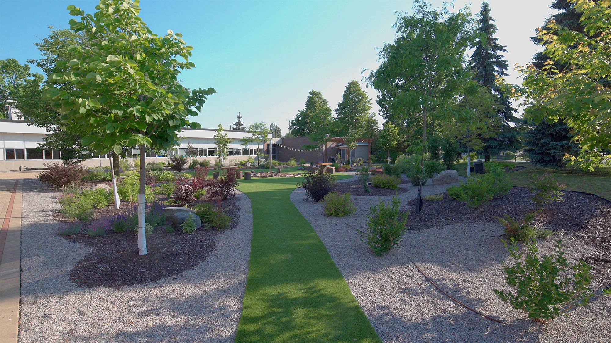 The garden at 176 Lakeshore